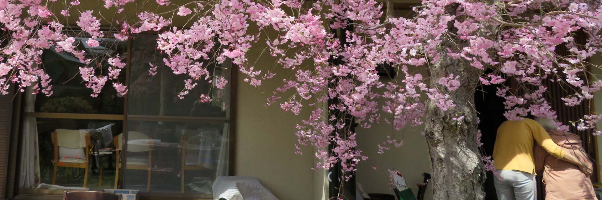 さわやか介護ステーション